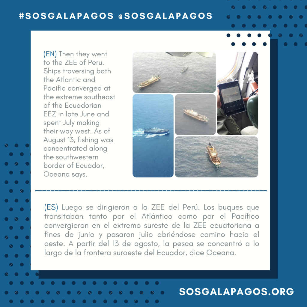 The Chinese fleet that encircled Galapagos devastates the sea and evades  regulations – SOS Galápagos