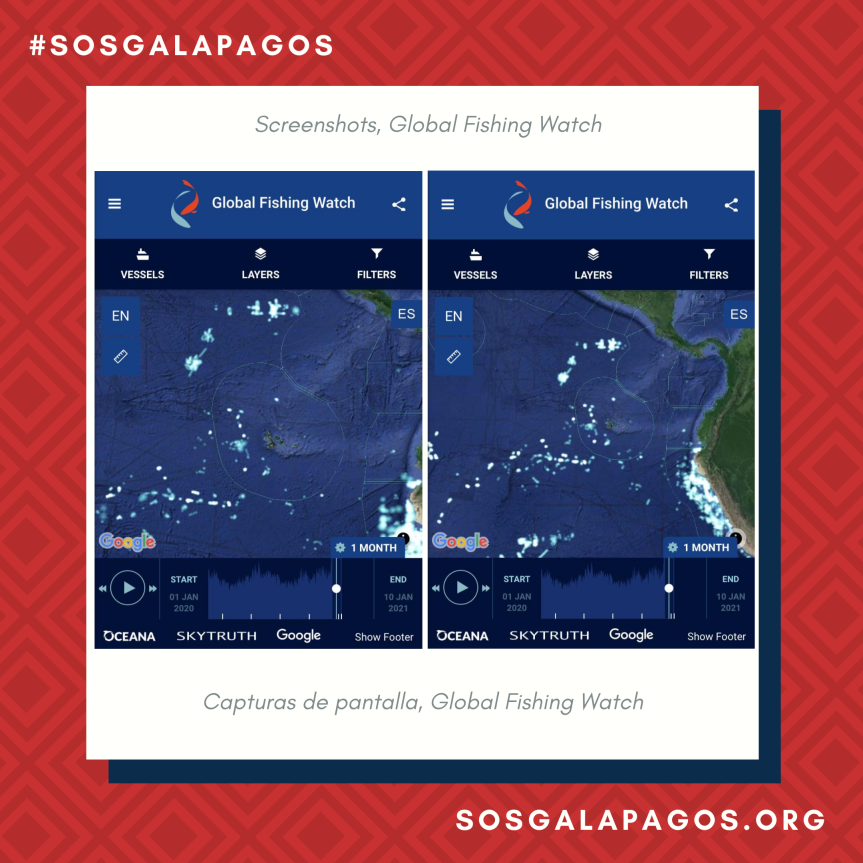 The foreign fishing fleet returns to approach Galapagos; since December it was detected towards the northwest of the Archipelago